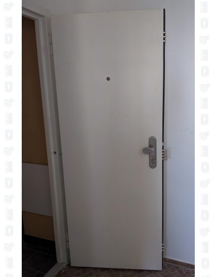 Porte blindée pour appartement EZ 9404
